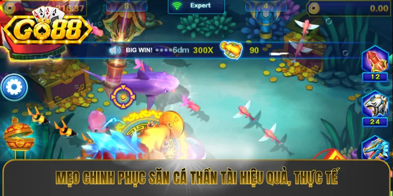 Mẹo chinh phục săn cá thần tài hiệu quả, thực tế